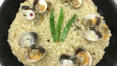 Risotto aux coques