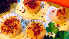 Coquille Saint-Jacques sauce mousseline aux senteurs de Pommeau