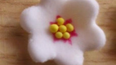 Fleurs de cerisier en pâte à sucre