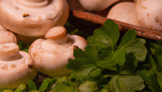 Champignons Olé-Olé