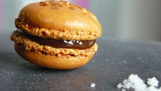 Macarons caramel au beurrre salé