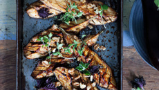 Aubergines de France grillées au miso, noix et graines germées