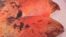 Gratin hivernal d'endives au saumon fumé