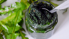 Pesto de feuilles de pissenlit et spiruline