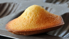 Madeleines à la vanille