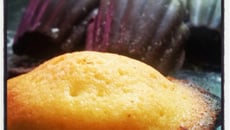 Madeleines au citrons en coque de chocolat noir sans lactose