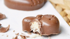 Chocolats maison, fourrés au chocolat blanc et pralin
