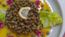 Salade de lentilles au Morbier