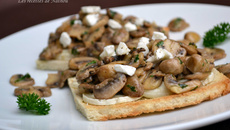 Toast aux champignons de Paris, balsamique et fromage de chèvre
