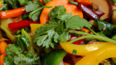 Wok de légumes variés à la coriandre