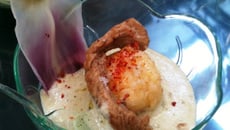 Espuma d'artichauts aux saveurs du Pays Basque