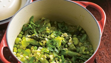 Daube printanière aux perles vertes