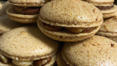 Macarons noisettes rapide