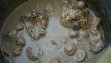 Lapin à la Provençale