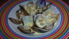 Palourdes à la crème et au vin blanc sec