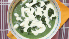 Velouté d'épinards et boursin