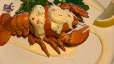 Chapon lutté au homard