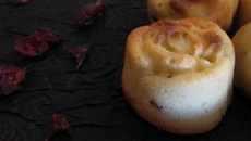 Amandines aux Cranberries