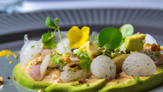 Carpaccio de noix de saint jacques et mousse d'avocats