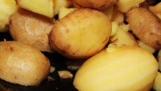 Les pommes de terre préférées de Saxo