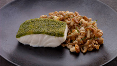 Cabillaud Skrei de Norvège en croûte d'herbes, risotto d'épeautre et girolles