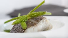 Cabillaud demi-sel, légumes primeurs et jus de coquillages