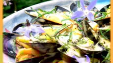 Salade de moules de bouchot, sauce légère au curry