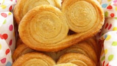 Palmiers maison