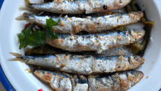 Sardines aux Tucs