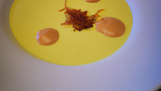 Crème anglaise au safran