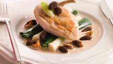 Suprême de chapon aux morilles