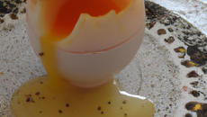 L'œuf surprise à la Fourme d'Ambert