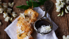 Beignets d'acacia rapide