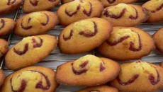 Madeleines du goûter à la Myrtille Bio