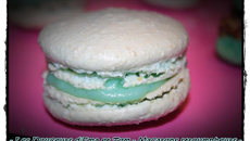 Les macarons stroumpheurs