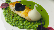 Turbot vapeur, coulis de petits pois à la verveine et au wasabi
