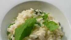 Risotto aux fanes de radis
