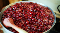 Cerises amarena en 7 jours