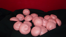 Meringues classiques