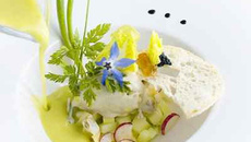 Soupe d'huître glacée