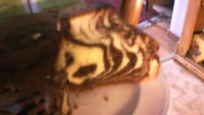 Zebra cake à la vanilline 
