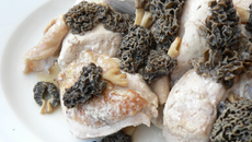Poulet au vin jaune et aux morilles