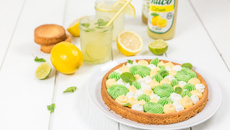 Tarte aux deux citrons et noix de coco