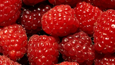 Blondie chocolat blanc-framboises