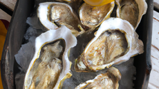 Huîtres à la provencale