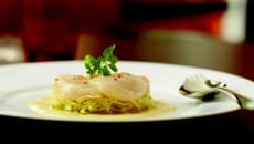 Noix de coquilles Saint-Jacques juste marinées, salade croquante d'endive, fenouil et pomme verte, vinaigrette à la moutarde à la truffe