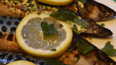 Maquereaux à la marinade