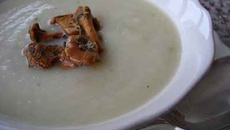 Soupe de choux-fleurs aux girolles et huile de truffe