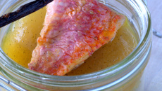 Fenouil en barigoule vanillée et son rouget grillé