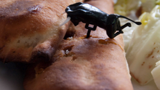 Empanadillas espagnols